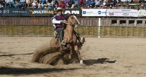 En Melipilla conocieron de la receta de Luis Eduardo Cortés para el trabajo de los caballos En Melipilla conocieron de la receta de Luis Eduardo Cortés para el trabajo de los caballos