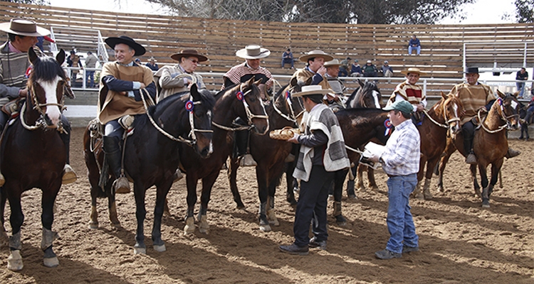 Asociación Colchagua prepara el Rodeo de los Dirigentes 2019 en la Medialuna Casa Silva