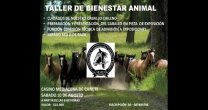 Asociación de Criadores Arauco tendrá interesante taller con variados temas Asociación de Criadores Arauco tendrá interesante taller con variados temas