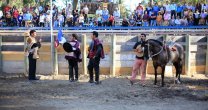 Ferocam da inicio a su Temporada con rodeos en Paine y Talagante Ferocam da inicio a su Temporada con rodeos en Paine y Talagante
