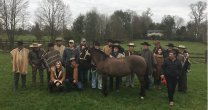 Criadores de Cautín tuvieron asamblea y visita a Criadero Santa Isabel Criadores de Cautín tuvieron asamblea y visita a Criadero Santa Isabel