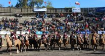 El resumen de una linda jornada en la Medialuna de Curicó El resumen de una linda jornada en la Medialuna de Curicó