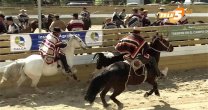 Club Villa Alemana tiene todo listo para su Rodeo Provincial Club Villa Alemana tiene todo listo para su Rodeo Provincial