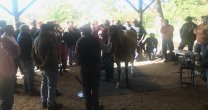 El concurrido Día de Campo de los criadores de Cardenal Caro El concurrido Día de Campo de los criadores de Cardenal Caro