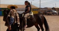 Huasos de Alto Hospicio acercaron el Caballo Chileno a los niños