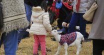 La Granja Educativa, un espacio para aprender jugando en la Semana de la Chilenidad La Granja Educativa, un espacio para aprender jugando en la Semana de la Chilenidad