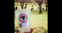 La Semana de la Chilenidad se cuadra con el cuidado del Medioambiente La Semana de la Chilenidad se cuadra con el cuidado del Medioambiente
