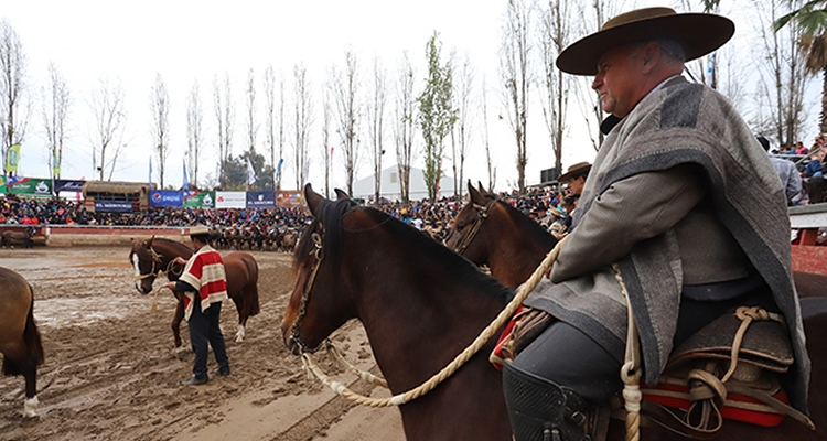 La fiesta huasa en el Parque Hurtado: Los Rodeos que trae la cartelera de la Semana de la Chilenidad