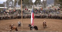 Ricardo Ruiz y Enrique Zamora se adueñaron del Rodeo de La Ligua