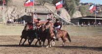 Lo Barnechea disfrutó y aplaudió el show de la Escuadra Palmas de Peñaflor Lo Barnechea disfrutó y aplaudió el show de la Escuadra Palmas de Peñaflor