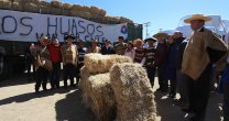 Así fue la entrega de ayuda para los animales por la sequía, una muestra de la fuerza y solidaridad huasa