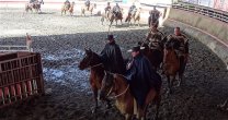 Criadero Juncal dominó el Rodeo Para Criadores del Club Frutillar Criadero Juncal dominó el Rodeo Para Criadores del Club Frutillar