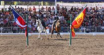 La Escuela del Arte Ecuestre deslumbró al público de la Semana de la Chilenidad 2019 La Escuela del Arte Ecuestre deslumbró al público de la Semana de la Chilenidad 2019