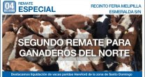 Segundo remate de animales afectados por la sequía se realizará este viernes en Melipilla Segundo remate de animales afectados por la sequía se realizará este viernes en Melipilla