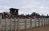 Club San Antonio tiene cita en Puro Caballo Club San Antonio tiene cita en Puro Caballo
