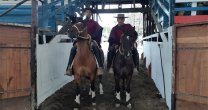 Alcalde y Ordóñez atajaron hasta el viento en un notable triunfo en Osorno Alcalde y Ordóñez atajaron hasta el viento en un notable triunfo en Osorno