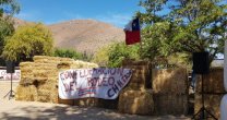 Eduardo Collantes en Choapa: Para nuestros crianceros esta es una ayuda muy importante