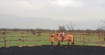 La Manada ofrece curso de equitación chilena de campo para niños