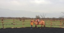 La Manada ofrece curso de equitación chilena de campo para niños La Manada ofrece curso de equitación chilena de campo para niños