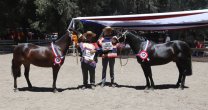 Expo Maipo 2019 avanza a paso firme en sus preparativos Expo Maipo 2019 avanza a paso firme en sus preparativos