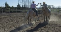 En Criadero Los Cóndores se realiza el Campeonato Vaquero 2019 En Criadero Los Cóndores se realiza el Campeonato Vaquero 2019