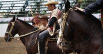 Las planillas del Zonal Centro 2019 de San Clemente Las planillas del Zonal Centro 2019 de San Clemente