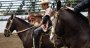 Las planillas del Zonal Centro 2019 de San Clemente Las planillas del Zonal Centro 2019 de San Clemente