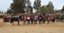 Disparate y Engreída impusieron su calidad en una concurrida Expo Marchigüe Disparate y Engreída impusieron su calidad en una concurrida Expo Marchigüe