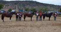 Los Grandes Premios de la Expo Marchigüe