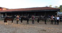 Asociación de Criadores de Cauquenes realizará charla de reproducción equina Asociación de Criadores de Cauquenes realizará charla de reproducción equina