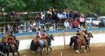 El triunfo que alcanzó el criadero Doña Dominga en el rodeo del Club Pumanque