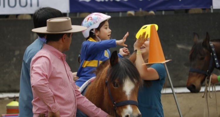 Federación del Rodeo Chileno realiza catastro de actividades de vinculación