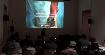 Asociación de Criadores de Cauquenes tuvo exitosa charla de reproducción equina Asociación de Criadores de Cauquenes tuvo exitosa charla de reproducción equina