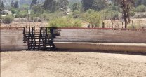 Medialuna de Olmué también sufrió atentado incendiario Medialuna de Olmué también sufrió atentado incendiario