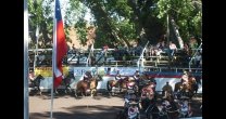 Asociación Concepción suspendió Exposición y Rodeo Para Criadores Asociación Concepción suspendió Exposición y Rodeo Para Criadores