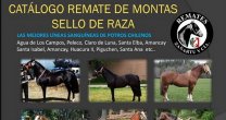 Hay remate en línea en apoyo al programa Sello de Raza Hay remate en línea en apoyo al programa Sello de Raza