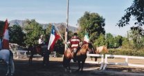 Malal Potro Lolco falleció y dejó su huella como caballo chileno en Estados Unidos Malal Potro Lolco falleció y dejó su huella como caballo chileno en Estados Unidos