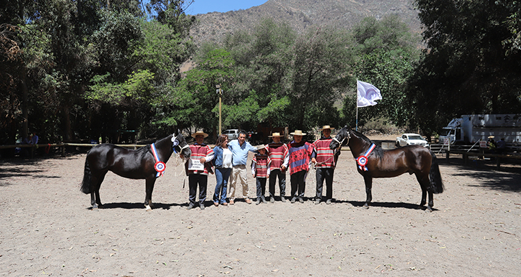 Sincero y Respetada fueron distinguidos como los mejores de la Expo Maipo