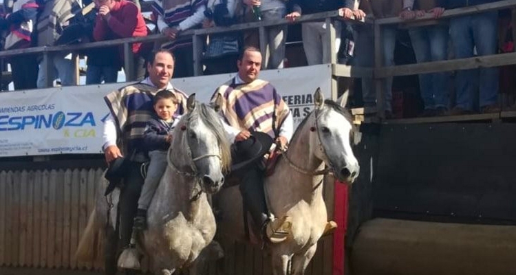 Peleco logró gran victoria en el Rodeo Para Criadores de Collipulli