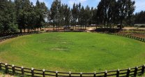 En Collipulli preparan sus instalaciones para la gran fiesta de los criadores