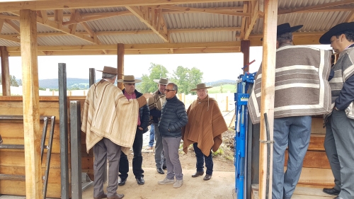 Imagen foto_00000003