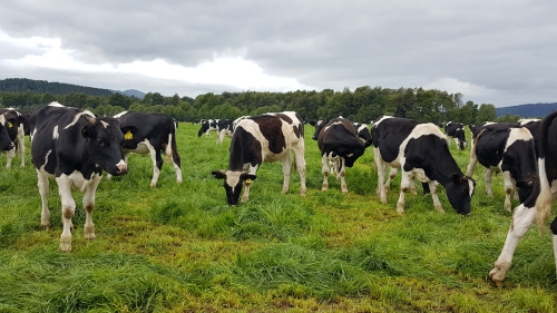 Imagen foto_00000016