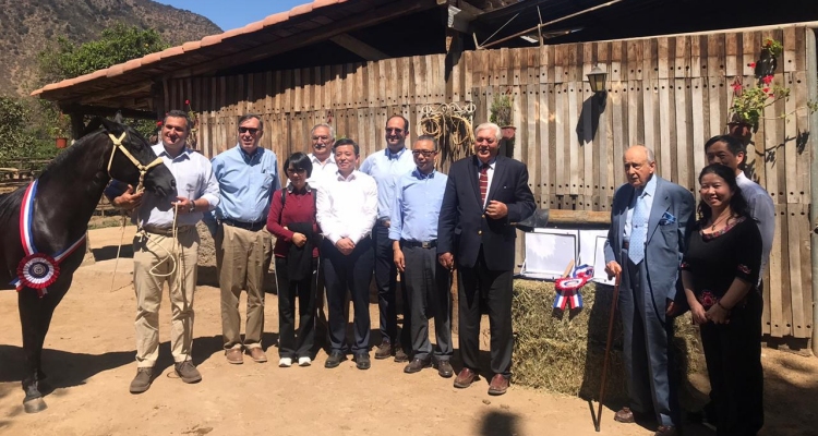 Criadero San Jorge El Victorioso se engalanó con visita de embajador de China