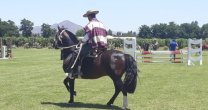 La muestra de la Asociación de Criadores de Colchagua en la Conferencia Mundial de Enoturismo