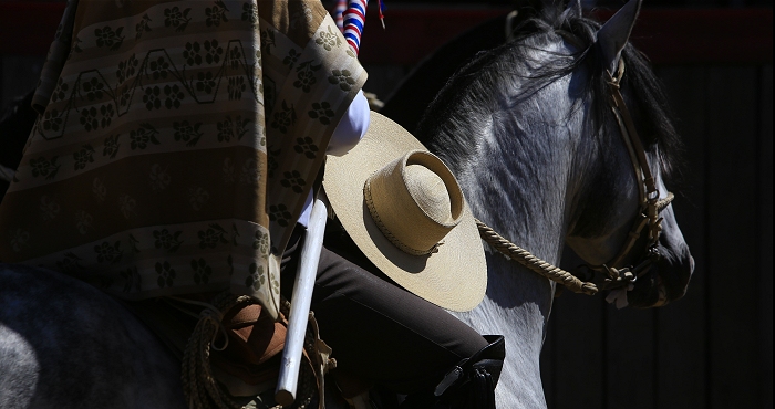 La Federación del Rodeo, la Federación de Criadores y Caballoyrodeo les desean una Feliz Navidad