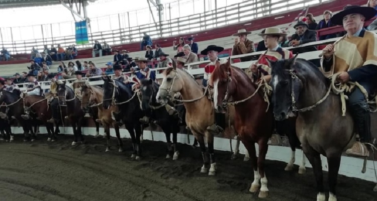 Asociación Osorno tiene todo listo para brindar un gran Rodeo para Criadores