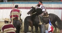 El rodeo del Club Cochrane coronó como campeones a Lühr y Belmar