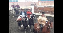 Codinhue consiguió una gran satisfacción en el Rodeo para Criadores de Osorno Codinhue consiguió una gran satisfacción en el Rodeo para Criadores de Osorno