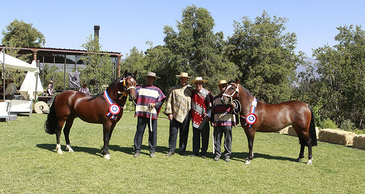 Mal Hablao y Atinada coronaron gran jornada de Pallocabe en la Expo Melipilla