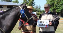 Los Grandes Premios de la Expo Lanco